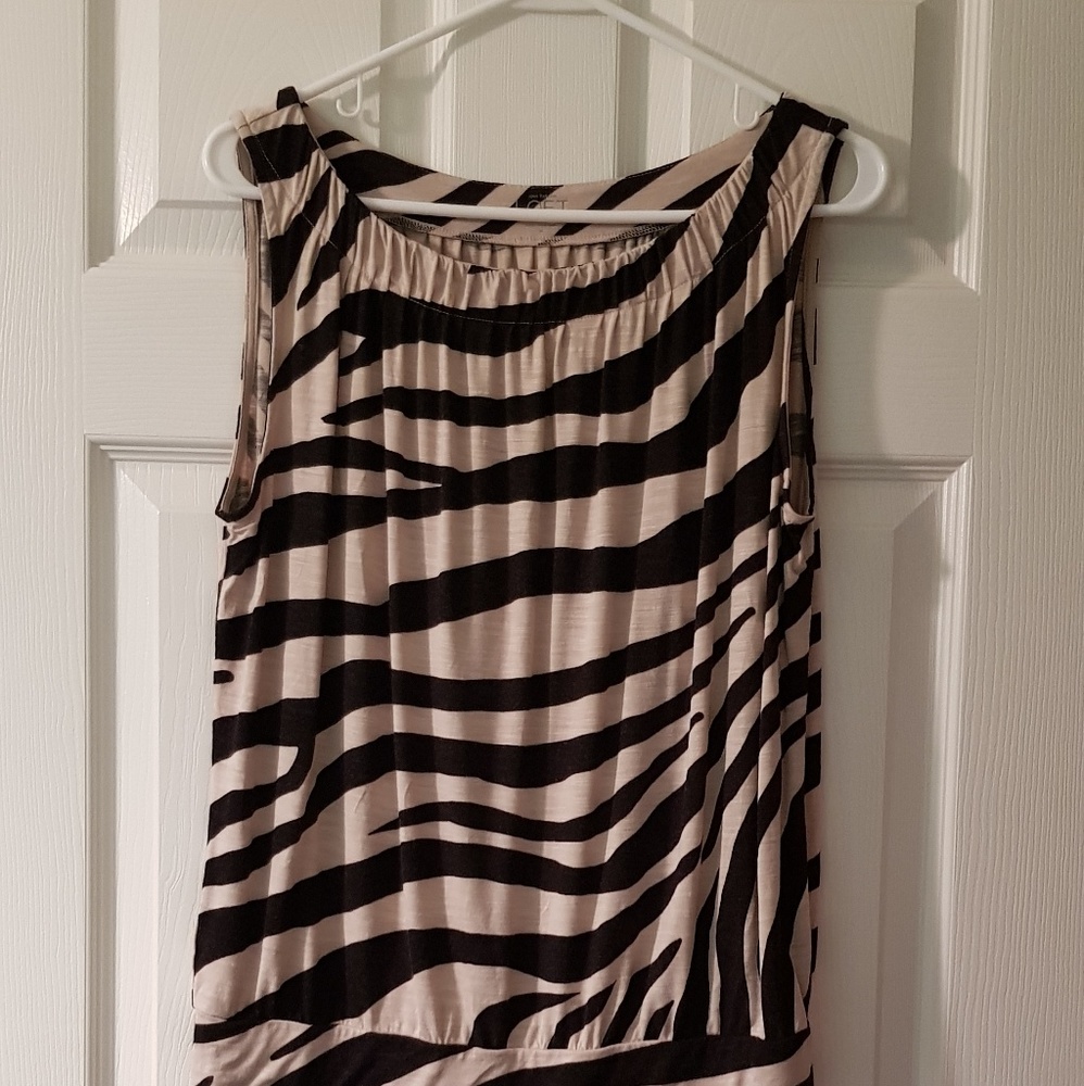 New  ann Taylor loft top m zebra